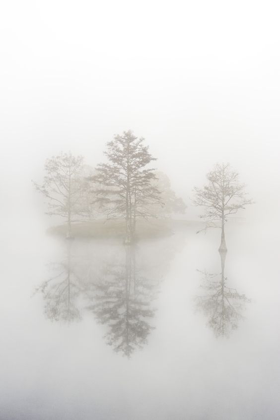 image host