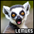 Lemur fanlisting